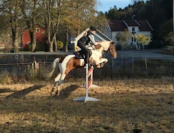 Første stevne 2017 på Epona ryttersenter.
